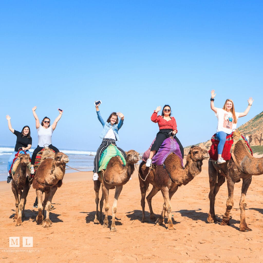 Excursion to Morocco from Spain - semester abroad in Sevilla, Spain