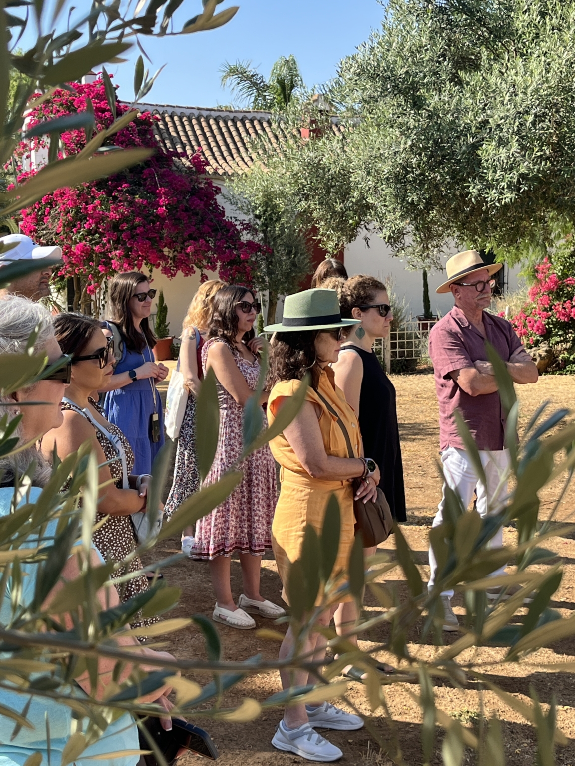 Cultural visits - AP Spanish language and culture workshop in Spain