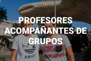 Faqs para profesores acompañantes de grupos