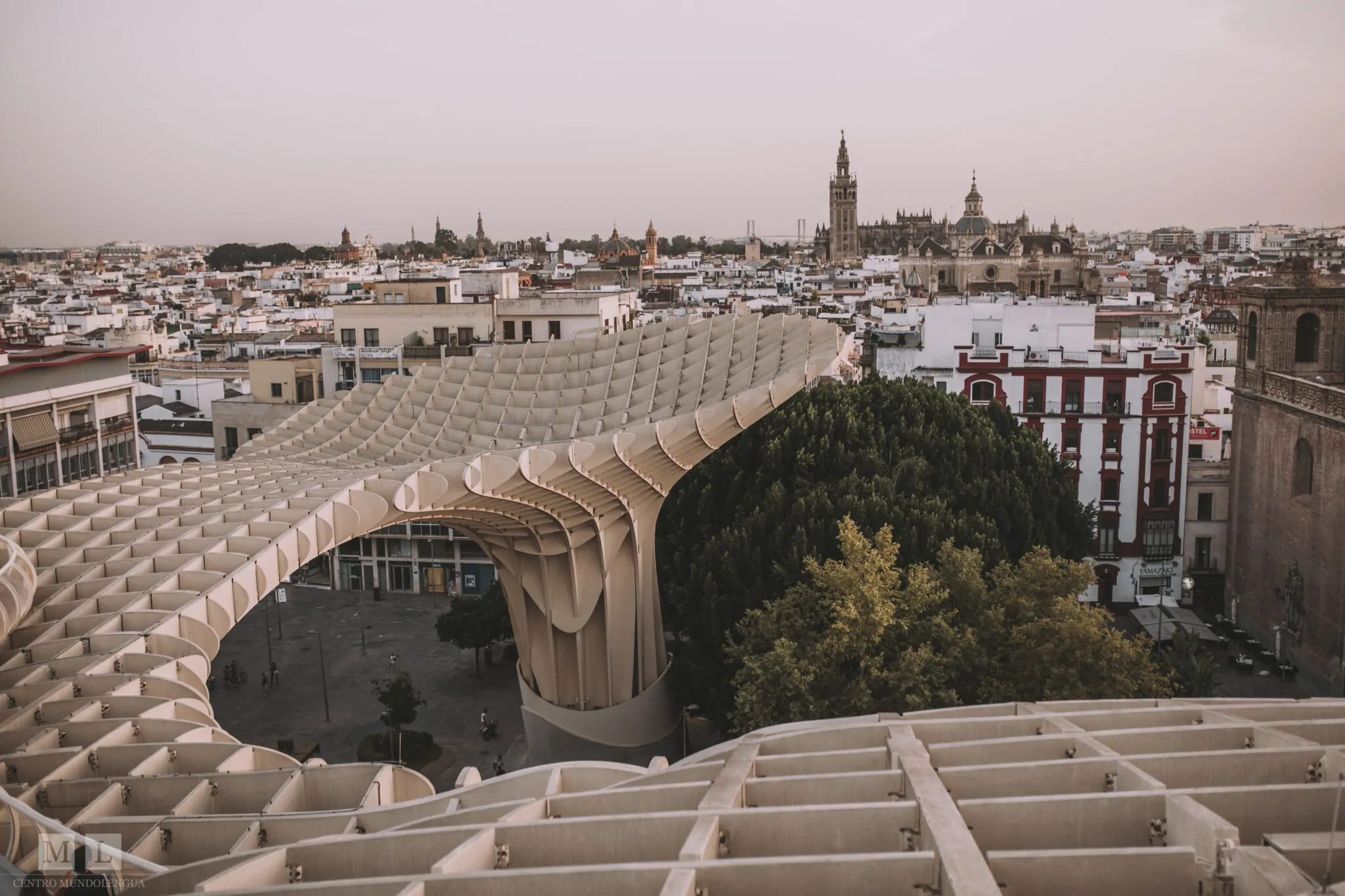 Top reasons to study abroad in Sevilla, Spain